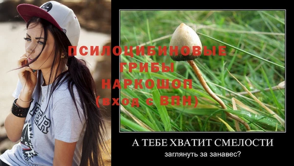 гидропоника Верея